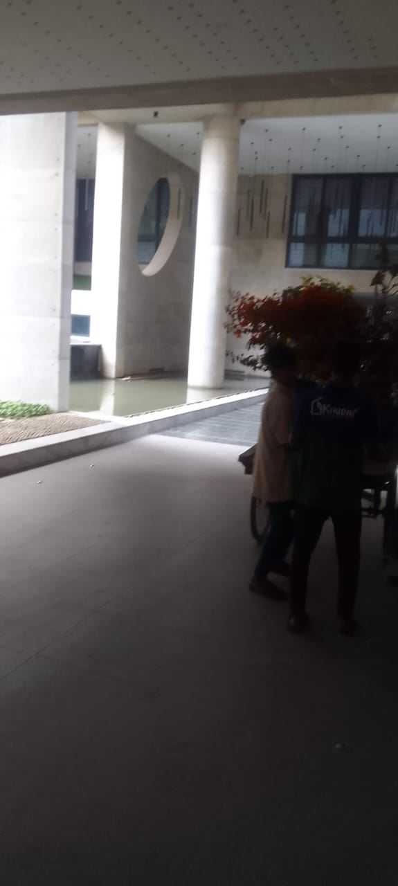 474792111_1031655565670088_2295767734614724574_n